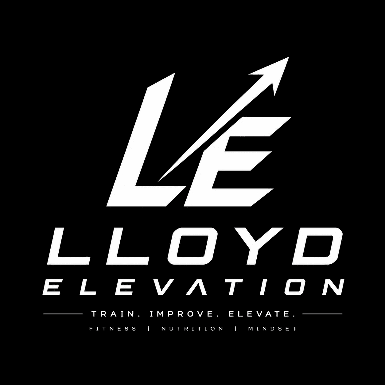 Lloyd Elevation logo